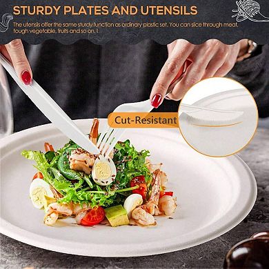 Compostable Dinnerware Kit: 250pcs Eco Friendly Plates, Cutlery for Parties