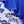 Blue White