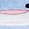 Blue Shark
