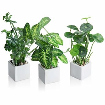 3 pc Set of Stylish Artificial Plants
