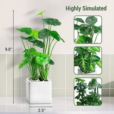 3-Piece Set of Stylish Artificial Plants
