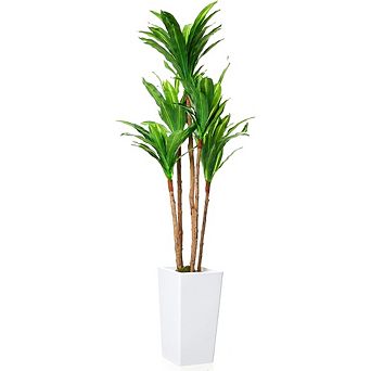 4.8FT Artificial Dracaena Tree in White Planter