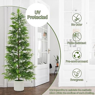 2-pack 6ft cedar topiaries, white pots, UV-resistant for indoor/outdoor garden or farmhouse.