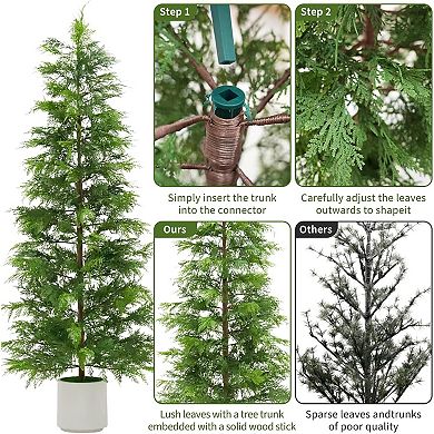 2-pack 6ft cedar topiaries, white pots, UV-resistant for indoor/outdoor garden or farmhouse.