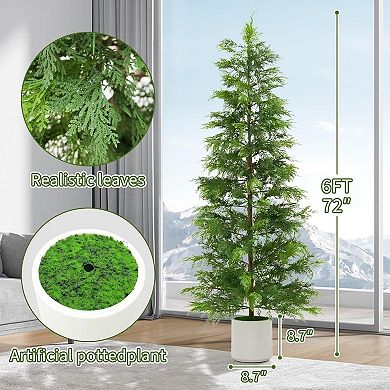 2-pack 6ft cedar topiaries, white pots, UV-resistant for indoor/outdoor garden or farmhouse.