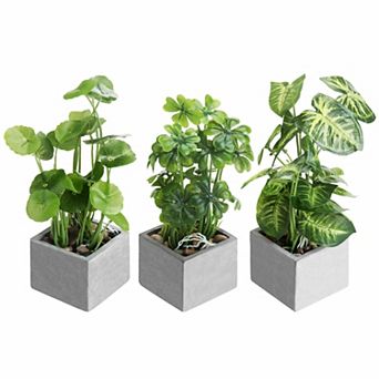 Mini Artificial Plants with Clear Glass Pots