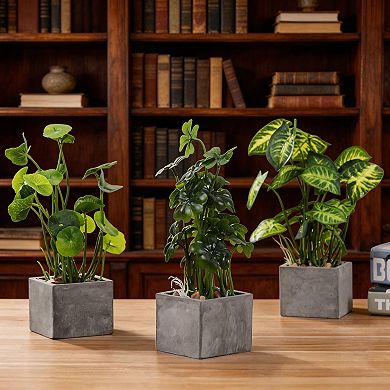 Mini Artificial Plants with Clear Glass Pots
