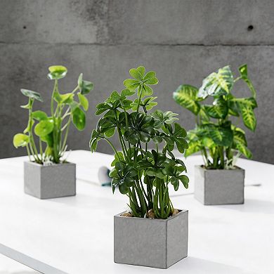 Mini Artificial Plants with Clear Glass Pots