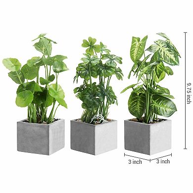 Mini Artificial Plants with Clear Glass Pots