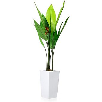 5FT Bird of Paradise Tree with White Planter