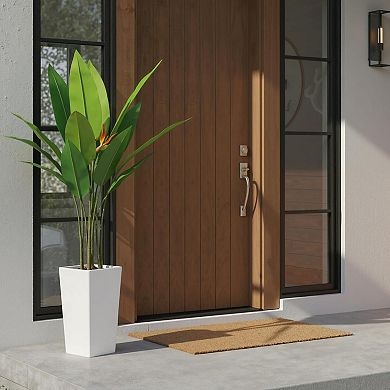 5FT Bird of Paradise Tree with White Planter