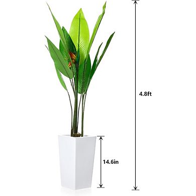 5FT Bird of Paradise Tree with White Planter