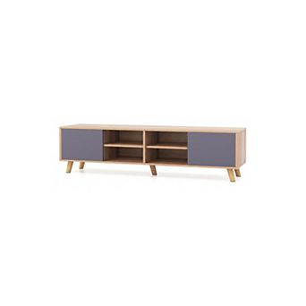 TV Stand Cabinet for Tvs Up to 65 Inch with Storage Shelves