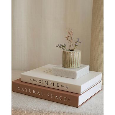 Decorative Faux Books Set of 2 Boxes for Coffee Table Display