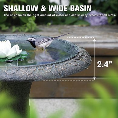Outdoor Marble Look Bird Bath 17.7 in Wide Weather Resistant Polyresin Basin 1 Piece