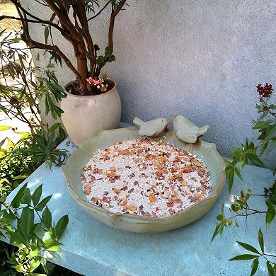Ceramic Bird Bath Bowl 9.45 Inch for Outdoor Ground Use Garden Tabletop Deck Lawn