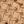 Beige Kahki