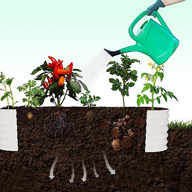 2Pcs Galvanized Vertical Garden Kit Tall Arch Trellis + Raised Planter Boxes