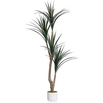 5.4FT Artificial Dracaena Marginata in Pot