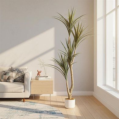 5.4FT Artificial Dracaena Marginata in Pot