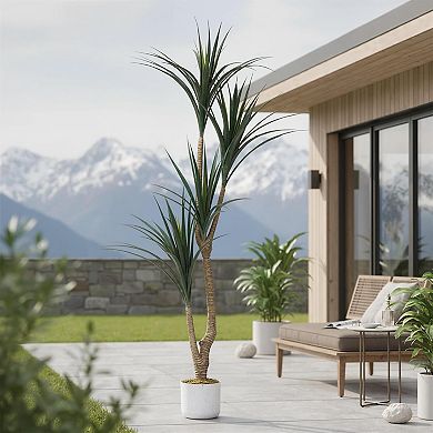 5.4FT Artificial Dracaena Marginata in Pot