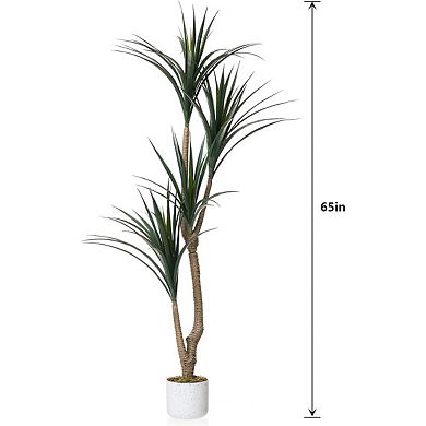 5.4FT Artificial Dracaena Marginata in Pot