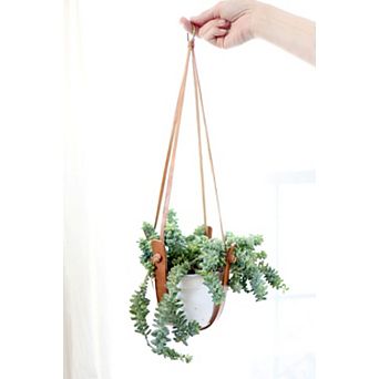 Small Flourish Plant Hanger