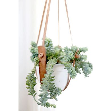 Small Flourish Plant Hanger