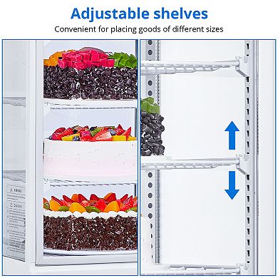 Commercial Standing Merchandiser Refrigerator, 9.8 Cu.FT Single-Door Pastry Display Case