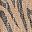 Animal Print Gold