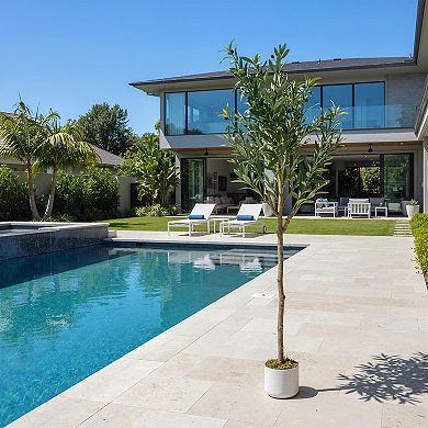 Olive Trees Artificial,5 ft Faux Olive Tree