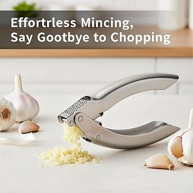Stainless Steel Garlic Press 6.5 Inch, Easy-Squeeze Mincer Silver