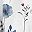 White Floral Print