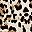 Whitebrownblackleopard
