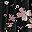Black Gradient Floral
