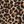 Leopard Print