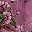 Purple Floral