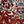Red White Green