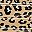 Brown Leopard
