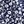 Navy Blue Floral