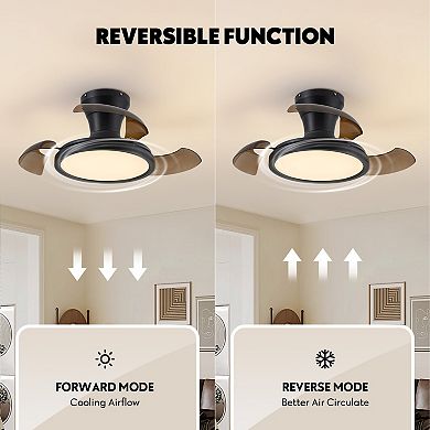 Moooni 28" Black Retractable Dimmable Ceiling Fan with Light & Remote
