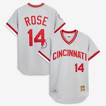 Men's Mitchell & Ness Pete Rose Gray Cincinnati Reds 1976 Authentic Jersey