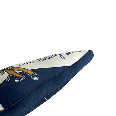 Pegasus Penn State Nittany Lions Half Stripe Pennant Pillow