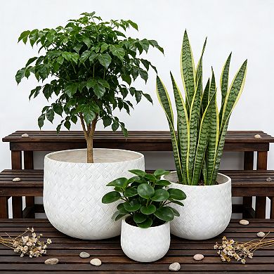 Trikiousd 3-Piece Round Planters Set, Outdoor Indoor Plant Pots with Weaving Pattern Planter
