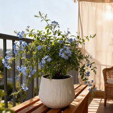 Trikiousd 11" Dia x 9.06" H Round Planters Home Garden Patio Plant Pots