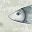 Dotted Striped Fish