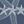 Navy Blue Starfish