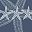 Navy Blue Starfish