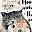 Where The Cat
