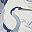 Outdoor Blue Heron